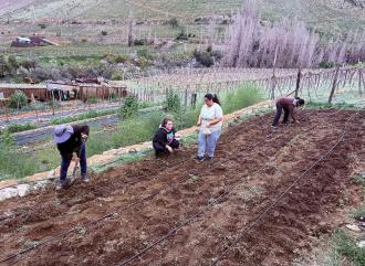 Paihuano sigue innovando en agricultura sostenible con la llegada del proyecto Micr&oacute;polis